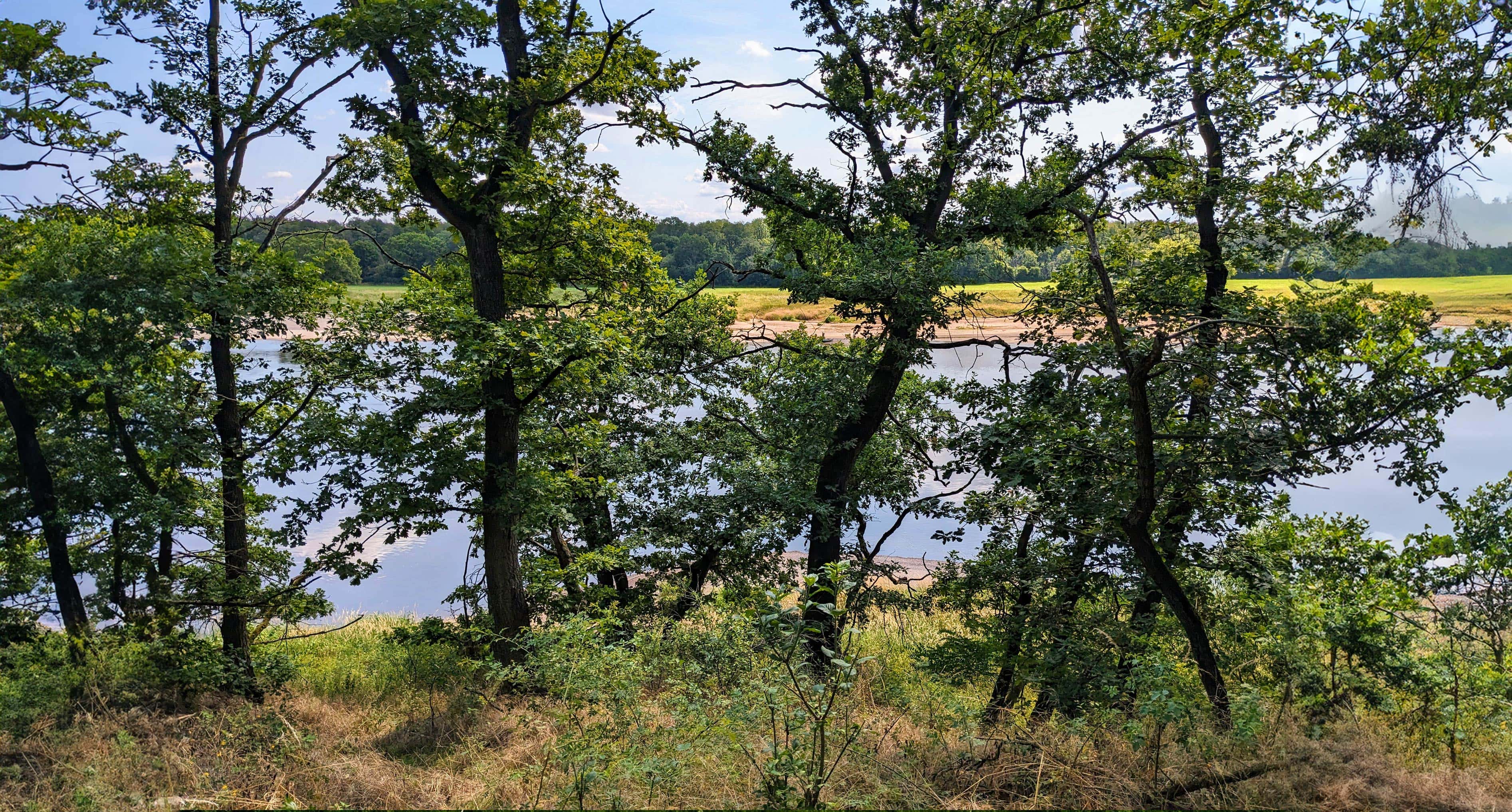 Foto der Landschaft rund um den Elberadweg, aufgenommen in der Nähe des Fahrradhotels Hotel Elbebrücke