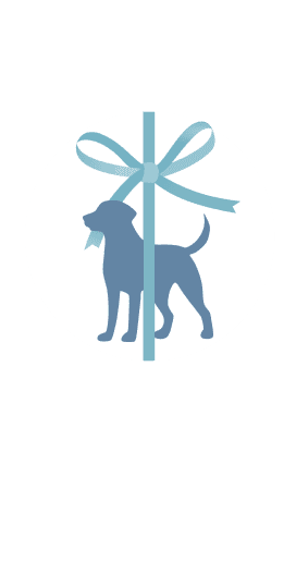 Icon mit einem Hund und einer Schleife abgebildet, das das Angebt für ein Hundezimmer nahe Dessau darstellen soll.