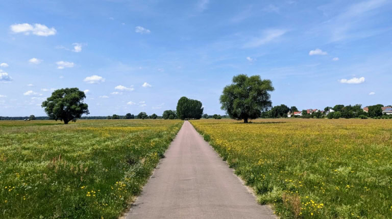 Radwandern & Touren entlang des Elberadwegs rund um Vockerode